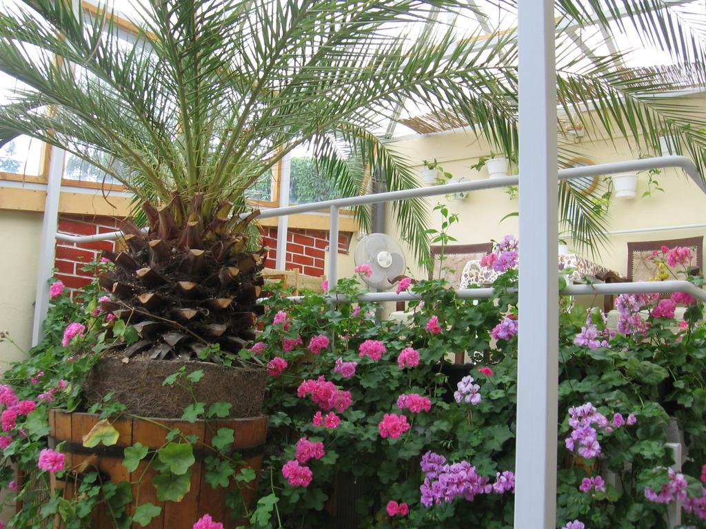 Csaladi Vendeghaz Apartment Eger Ngoại thất bức ảnh